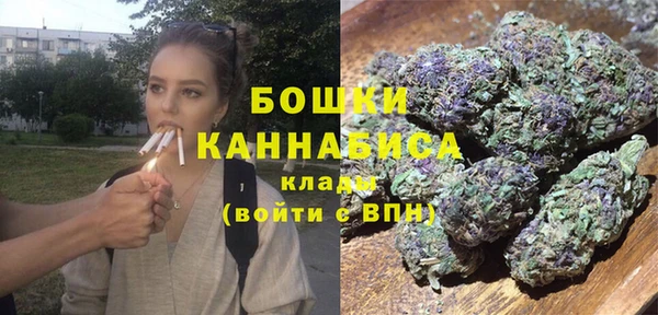 крисы Козловка