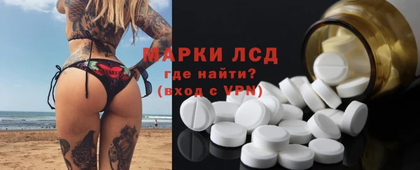 крисы Козловка