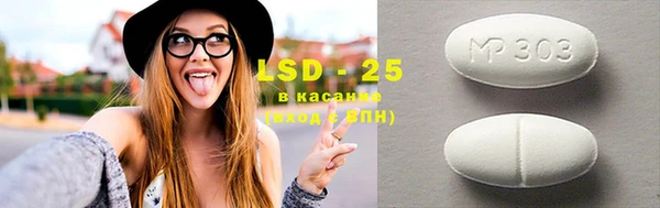 крисы Козловка