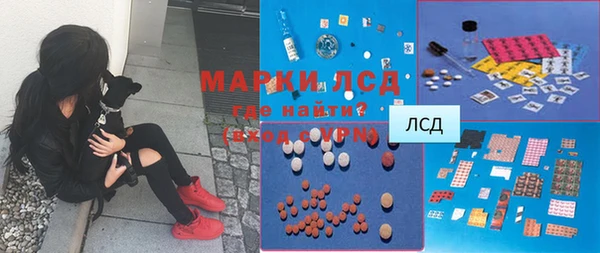 крисы Козловка