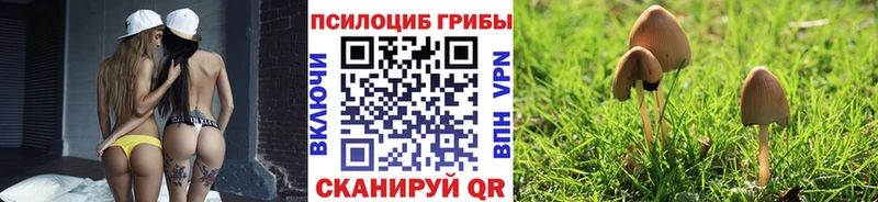 Псилоцибиновые грибы мицелий  Купить  Ряжск 