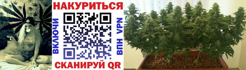 Купить закладки  Ряжск  Шишки марихуана индика 